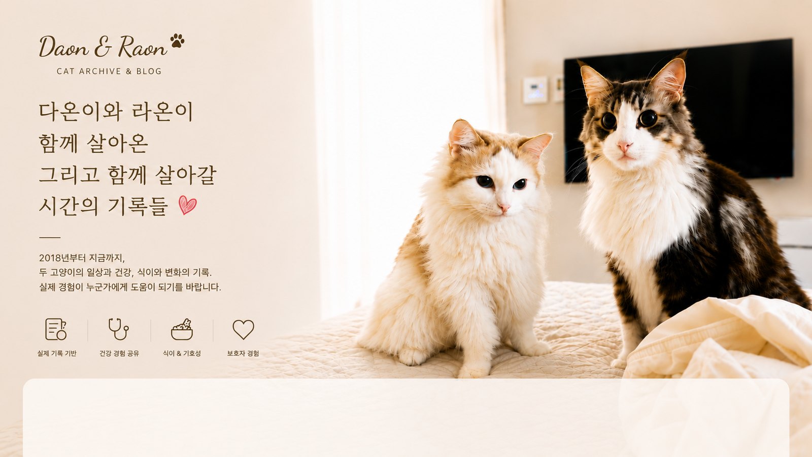 침대 위에 나란히 앉은 두 고양이. 왼쪽이 라온이, 오른쪽이 다온이다.