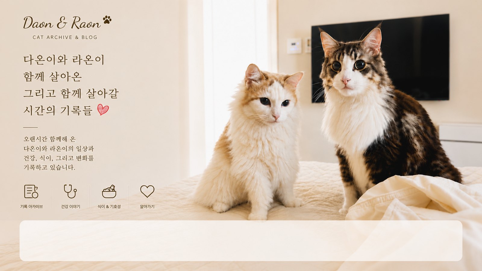 침대 위에 나란히 앉은 두 고양이. 왼쪽이 라온이, 오른쪽이 다온이다.